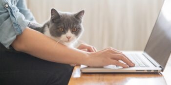 La CFTC se félicite de négocier pour un ANI sur le télétravail